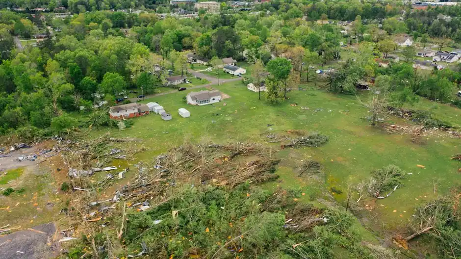 Drone view of uprooted trees heaped on green meadow in small village after massive storm