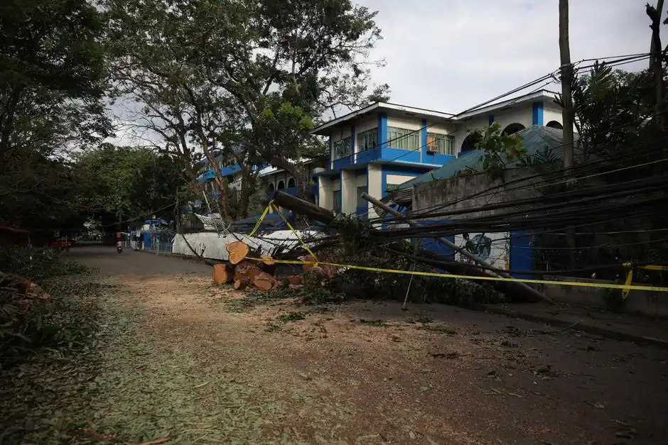 Fallen tree and power lines blocking a suburban street after a storm.